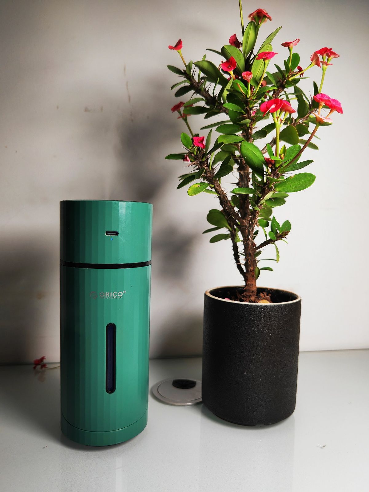 测评！这个真的很好用